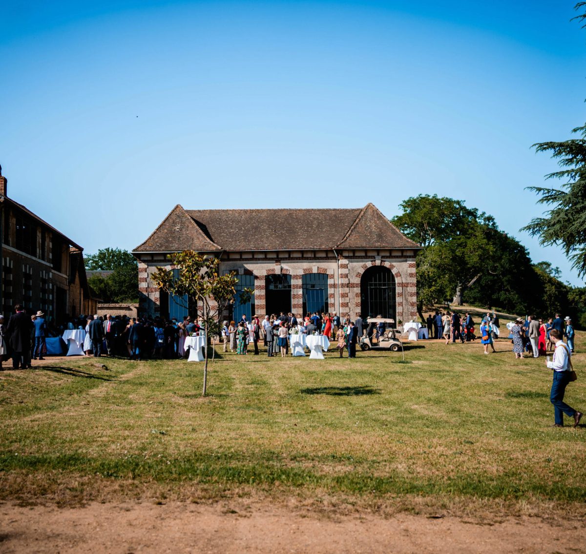 cocktailcg-113 cocktailcg-113